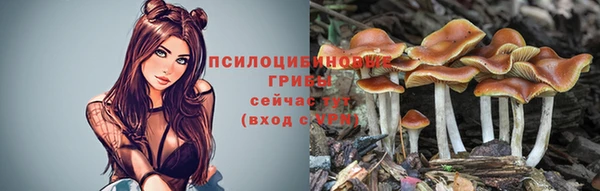 прущие грибы Алексеевка
