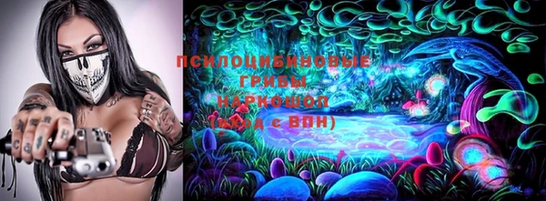 прущие грибы Алексеевка