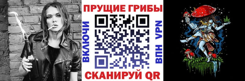 Псилоцибиновые грибы мицелий  Купить закладки  Пласт 